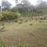  Land for sale in Girardota, Antioquia, Girardota