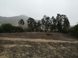  Land for sale in Pachacamac, Lima, Pachacamac