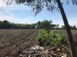  Land for sale in San Clemente, Talca, San Clemente