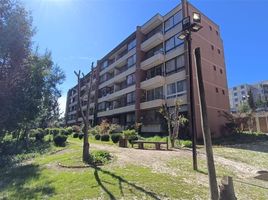 1 Habitación Apartamento en venta en Valparaíso, Valparaiso, Valparaíso, Valparaíso