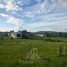  Land for sale in Pelarco, Maule, Pelarco