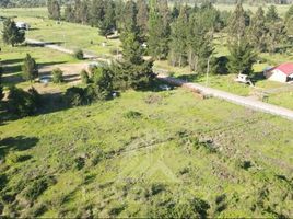  Land for sale in Biobío, Biobío, Los Angeles, Biobío