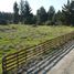  Land for sale in Biobío, Biobío, Los Angeles, Biobío