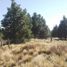  Land for sale in Neuquen, Lacar, Neuquen