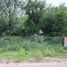  Terreno (Parcela) en venta en Junin, San Luis, Junin, San Luis