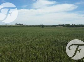  Land for sale in Parana, Entre Rios, Parana