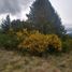  Terrain for sale in Chubut, Cushamen, Chubut