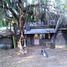 3 Schlafzimmer Haus zu verkaufen in Cushamen, Chubut, Cushamen
