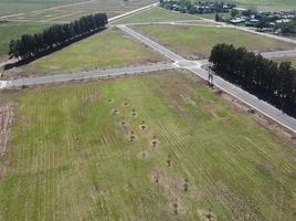  Land for sale in Rosario, Santa Fe, Rosario