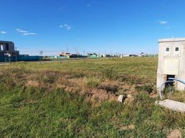  Land for sale in Esteban Echeverria, Buenos Aires, Esteban Echeverria