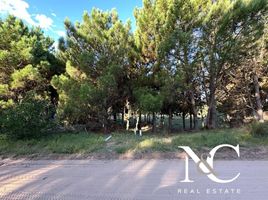  Terrain for sale in La Costa, Buenos Aires, La Costa