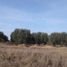  Land for sale in Capayan Catamarca, Capayan, Catamarca