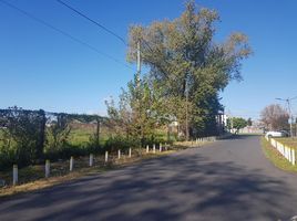  Grundstück zu verkaufen in Lomas De Zamora, Buenos Aires, Lomas De Zamora