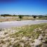  Terreno (Parcela) en venta en Pesqueria, Nuevo León, Pesqueria