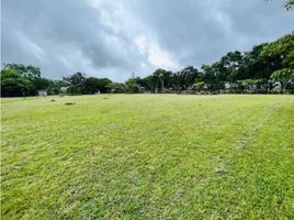  Land for sale in Chiriqui, Potrerillos Abajo, Dolega, Chiriqui