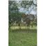  Land for sale in Boquete, Chiriqui, Alto Boquete, Boquete