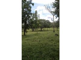  Land for sale in Chiriqui, Alto Boquete, Boquete, Chiriqui