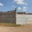  Land for rent in Culiacan, Sinaloa, Culiacan