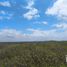  Land for sale in Elota, Sinaloa, Elota
