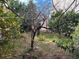  Terreno (Parcela) en venta en Tres De Febrero, Buenos Aires, Tres De Febrero