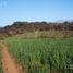  Land for sale in Metan, Salta, Metan