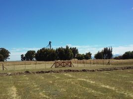 在Tornquist, Buenos Aires出售的 土地, Tornquist