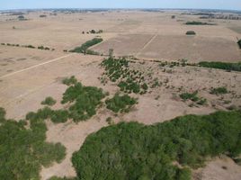  Terreno (Parcela) en venta en San Vicente, Buenos Aires, San Vicente