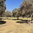 在Baja California出售的 土地, Ensenada, Baja California