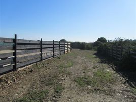  Terreno (Parcela) en venta en Pichilemu, Cardenal Caro, Pichilemu