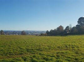  Terrain for sale in Osorno, Los Lagos, Osorno, Osorno