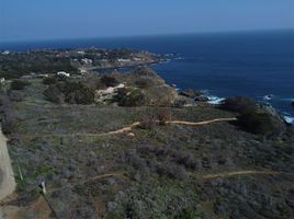  Grundstück zu verkaufen in Choapa, Coquimbo, Los Vilos