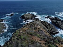  Grundstück zu verkaufen in Choapa, Coquimbo, Los Vilos