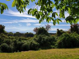  Terreno (Parcela) en venta en Puerto Varas, Llanquihue, Puerto Varas