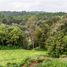  Terreno (Parcela) en venta en Puerto Varas, Llanquihue, Puerto Varas