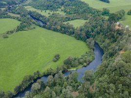  Terreno (Parcela) en venta en Puerto Varas, Llanquihue, Puerto Varas