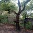 Studio Haus zu verkaufen in Santa Catarina, Nuevo Leon, Santa Catarina