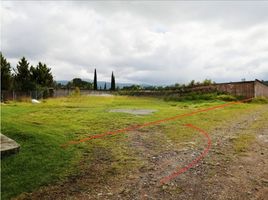  Terreno (Parcela) en venta en Omitlan De Juarez, Hidalgo, Omitlan De Juarez