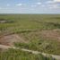  Terreno (Parcela) en venta en Opichen, Yucatán, Opichen, Yucatán, México