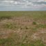  Terreno (Parcela) en venta en Opichen, Yucatán, Opichen, Yucatán, México