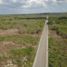  Terreno (Parcela) en venta en Opichen, Yucatán, Opichen, Yucatán, México