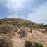  Terreno (Parcela) en venta en Ensenada, Baja California, Ensenada