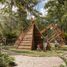  Terreno (Parcela) en venta en Yaxkukul, Yucatán, Yaxkukul, Yucatán, México