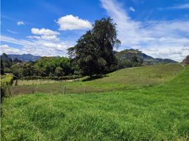  Terreno (Parcela) en venta en La Ceja, Antioquia, La Ceja