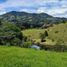  Terreno (Parcela) en venta en La Ceja, Antioquia, La Ceja