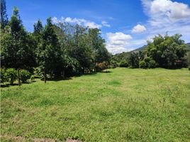  Terreno (Parcela) en venta en La Ceja, Antioquia, La Ceja