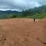  Land for sale in San Rafael, Antioquia, San Rafael