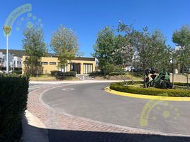2 Habitación Casa en alquiler en Queretaro, Querétaro, Queretaro