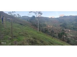  Terreno (Parcela) en venta en Concepcion, Antioquia, Concepcion