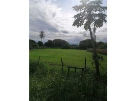  Terreno (Parcela) en venta en Los Santos, El Hato, Guararé, Los Santos