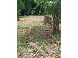  Terreno (Parcela) en venta en UTP-Centro Regional De Panamá Oeste, Guadalupe, Barrio Colón